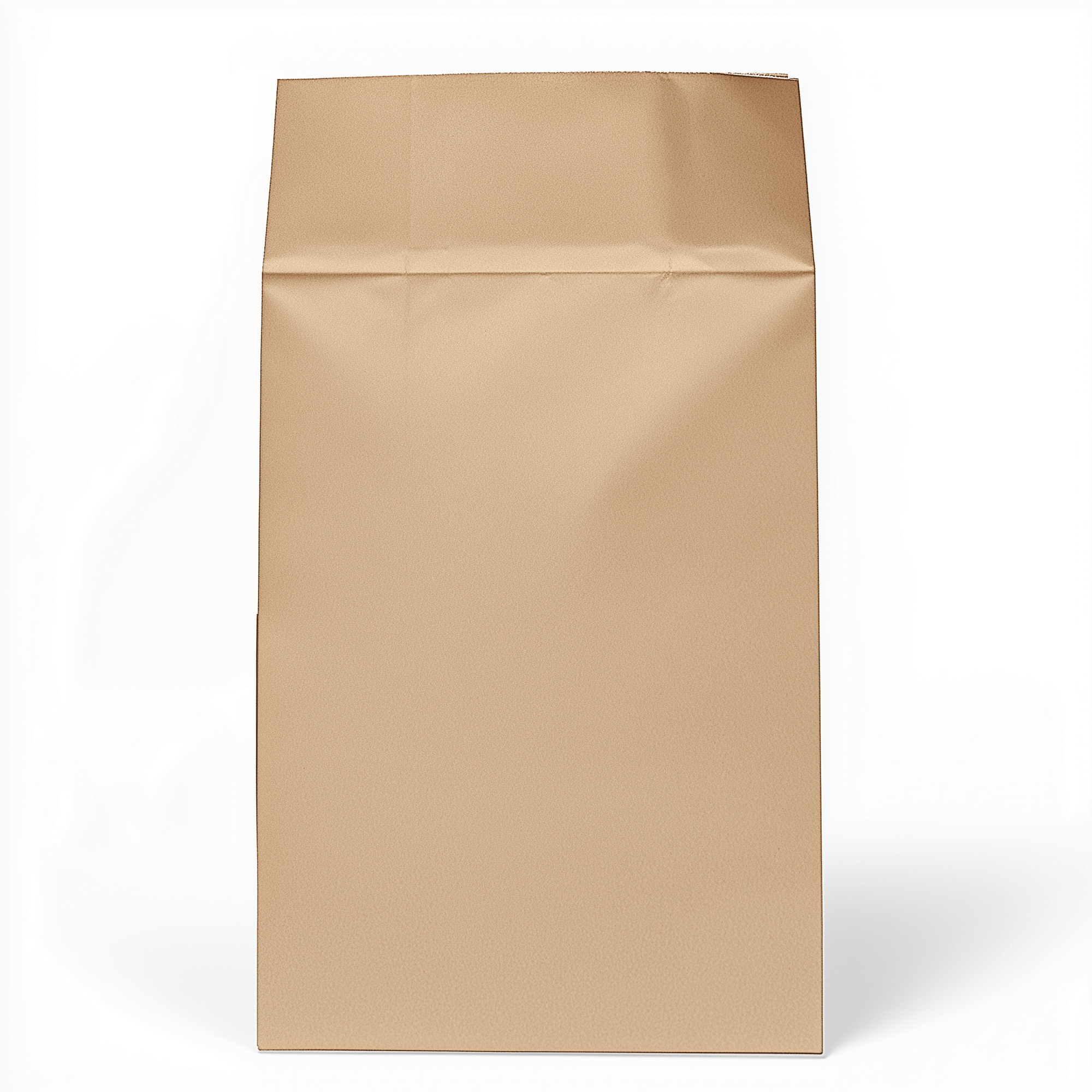 Kraft Paper Bag - 10" x 6" x 16" - Non-Handle